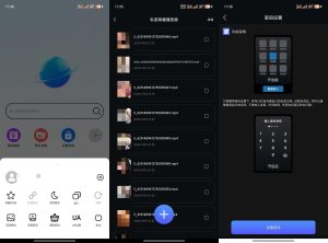 私密隐私浏览器（隐藏小视频/无痕保存）-创富之家